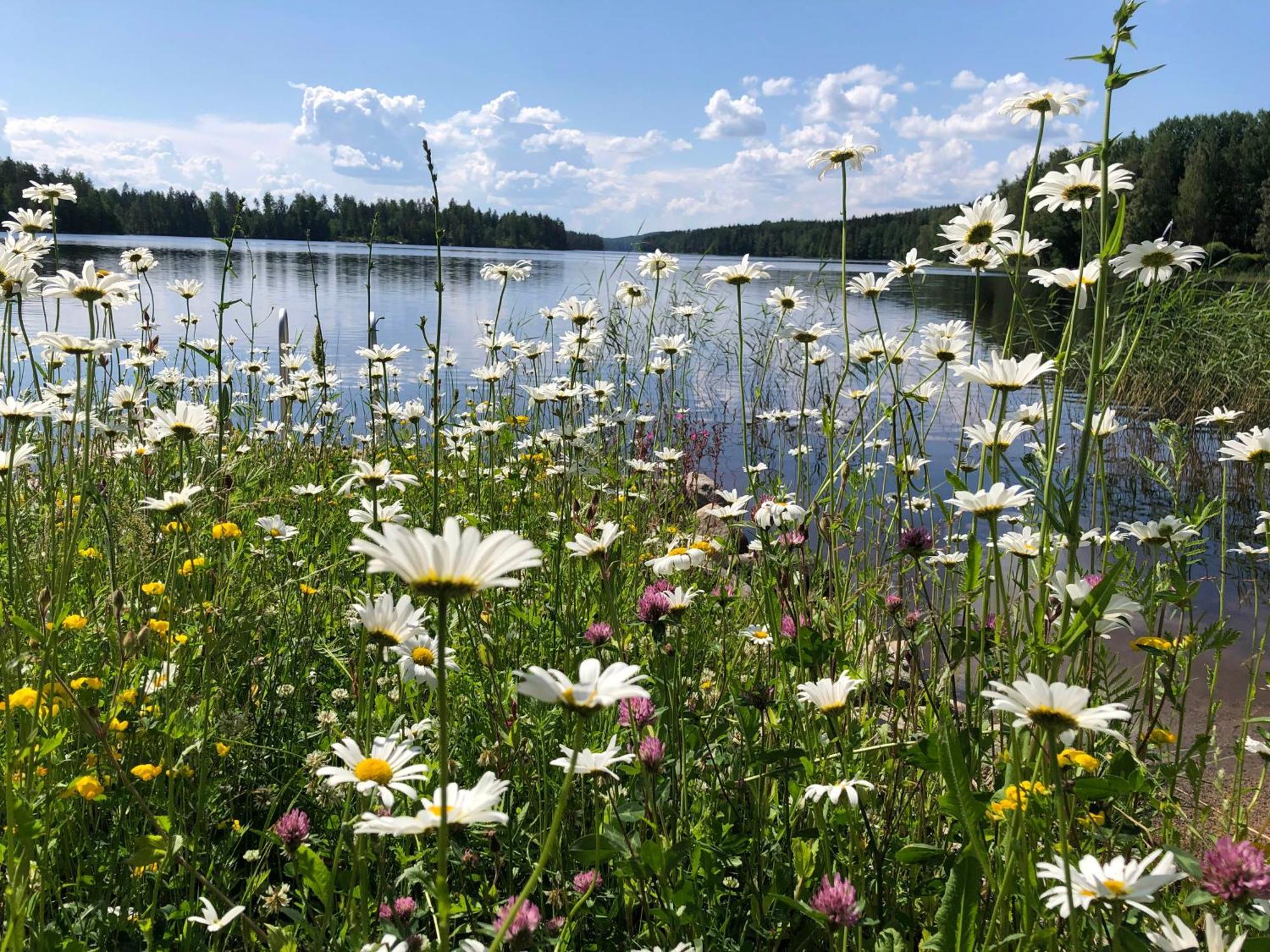 Vehkaniemen Lomatila Pohjaslahti Kültér fotó